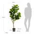 KAVE HOME Umjetni fikus Lyrata, visina 150 cm  