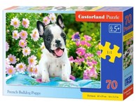 CASTORLAND Puzzle Francuski bulldog, 70 kom