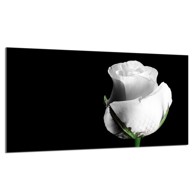 TMK Staklena zaštita za štednjak ili ploču za kuhanje 90x52, rose