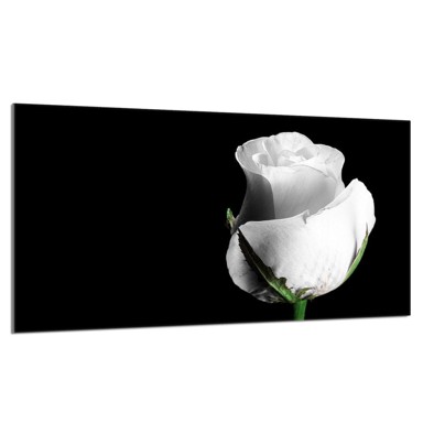 TMK Staklena zaštita za štednjak ili ploču za kuhanje 90x52, rose