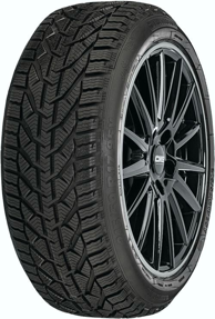 RIKEN SNOW 195/55R16 87T, zimske gume