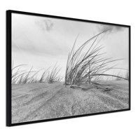 Poster Seaside Dunes 90x60