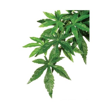 HAGEN Exo Terra umjetna biljka Abutilon M