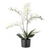 BLOOMINGVILLE Umjetna biljka Orchid, visina 84 cm  