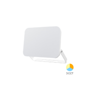 BRAYTRON LED Reflektor 3CCT 20W