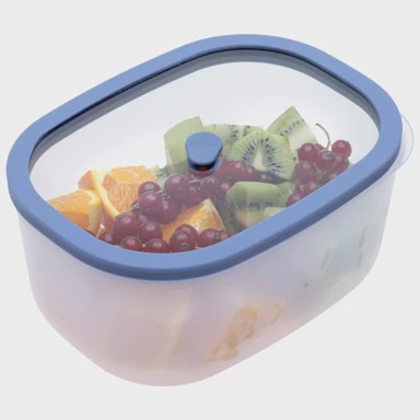 STATUS Vakuumska posuda, FRESKO, 1,4L