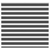 Zavjesa zebra crna 160x150 cm širina tkanine 155,9 cm poliester