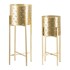MAURO FERRETTI Set stalka za posude za cvijeće Golvy, 2 kom, 52 cm, zlatna boja