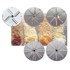 HENDI Disk za strugotine 3 mm 280300