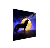 TMK Staklena zaštita za štednjak ili ploču za kuhanje 50x52, vuk