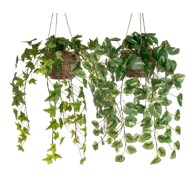 CASA SELECCION Umjetne biljke u setu 2 kom, visina 50 cm