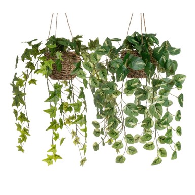 CASA SELECCION Umjetne biljke u setu 2 kom, visina 50 cm