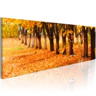 Slika Park covered with golden leaves 120x40