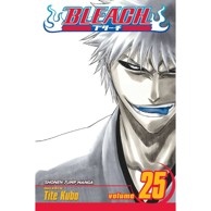 Bleach vol. 25