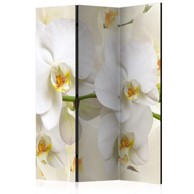 Sobna pregrada u 3 dijela Orchid Branch 135x172