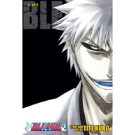 Bleach 3-in-1 vol. 25