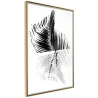 Poster Abstract Feather 20x30