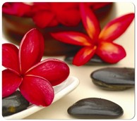 FELLOWES Podloga za miš siva