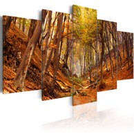 Slika Orange autumn 100x50