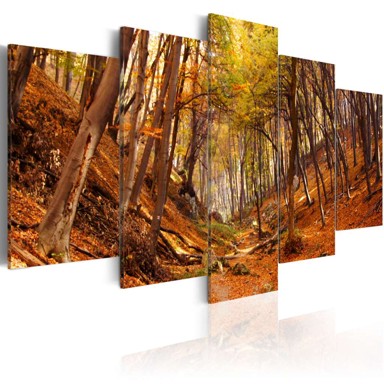 Slika Orange autumn 100x50