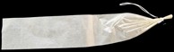 Plastično crijevo r2l-d 60, 0.45 m