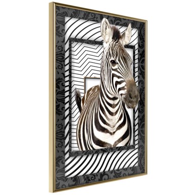 Poster Zebra in the Frame 30x45