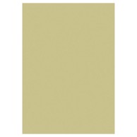 HEYDA Papir u boji A4 130 g 100 kom 20-47116 94 zlatni