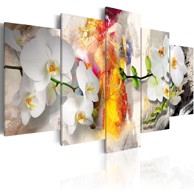 Slika Orchid And Colors 100x50