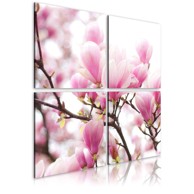 Slika Blooming magnolia tree 40x40