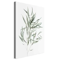 Slika Nicholia Eucalyptus, jednodijelna, okomita, 80x120 cm