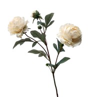 Rezano cvijeće Grana božur 69 cm, bijela