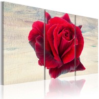 Slika Lyrical rose 120x80
