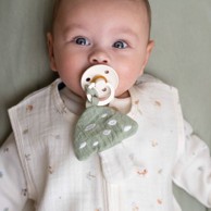 LITTLE DUTCH Spužvica za dudu forest friends 