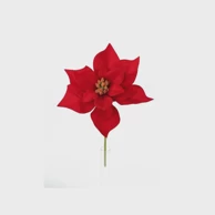 Rezano cvijeće Pik božićna zvijezda 33 cm, crvena