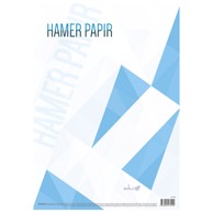 Papir Hamer B1 220 g 125 kom bijeli