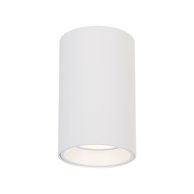 GENESIS Stropna svjetiljka Spot, 1xGU10, 10cm, bijela