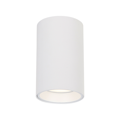 GENESIS Stropna svjetiljka Spot, 1xGU10, 10cm, bijela