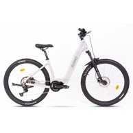 ECONO Električni bicikl Gams MTB EEC5, sivi,2025,700Wh,20Ah