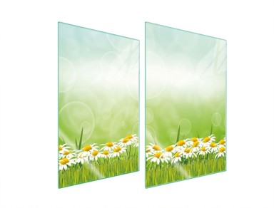 TMK Staklena zaštita za štednjak, 2x35x52 cm, daisy