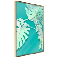 Poster Teal Monstera 40x60