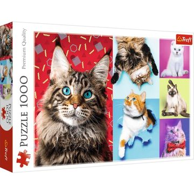 TREFL Puzzle 10591, 1000 kom.