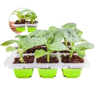 NIKCORP Posuda za sjetvu s poklopcem, mini staklenik, 9 ćelija 5,6x5,6x4,5 cm, bez BPA