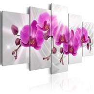 Slika Abstract Garden Pink Orchids 200x100