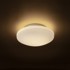 RENDL Stropna lampa, Sara LED 26, opal staklo/krom, 230V, LED, 12W, IP44, 3000K, krom