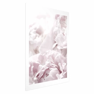 Plakat Fluffy Peonies, 40x60 cm