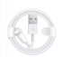 R2INVEST USB kabel Apple iPhone Lightning 8-pinski za punjenje i prijenos podataka 2 m