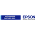 EPSON Tinta SJIC22P(M), magenta, originalna