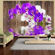 Foto tapeta Connection 300x210