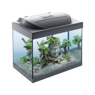 TETRA Akvarij Starter Line, crni, LED osvjetljenje, 30 l