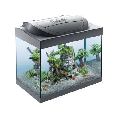TETRA Akvarij Starter Line, crni, LED osvjetljenje, 30 l